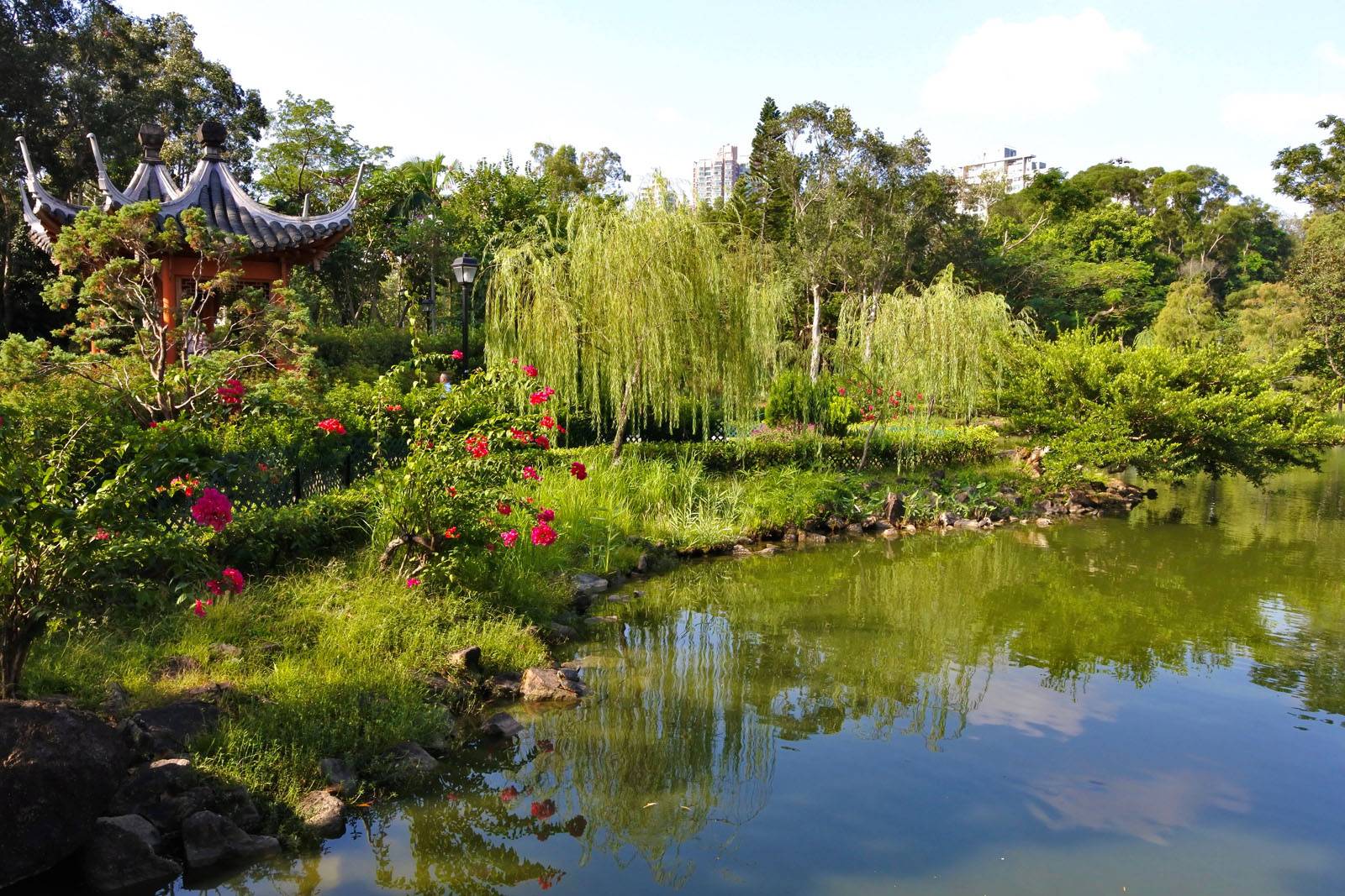North District Park: Serenity in Fan Ling and Sheung Shui