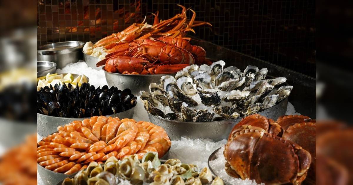 SkyCity Bistro in Hong Kong SkyCity Marriott Hotel  2024｜Latest Lunch and Dinner Buffet Promotion Offers