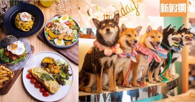 Pet-friendly Restaurants| 13 Dining Spots with Your Furry Friends